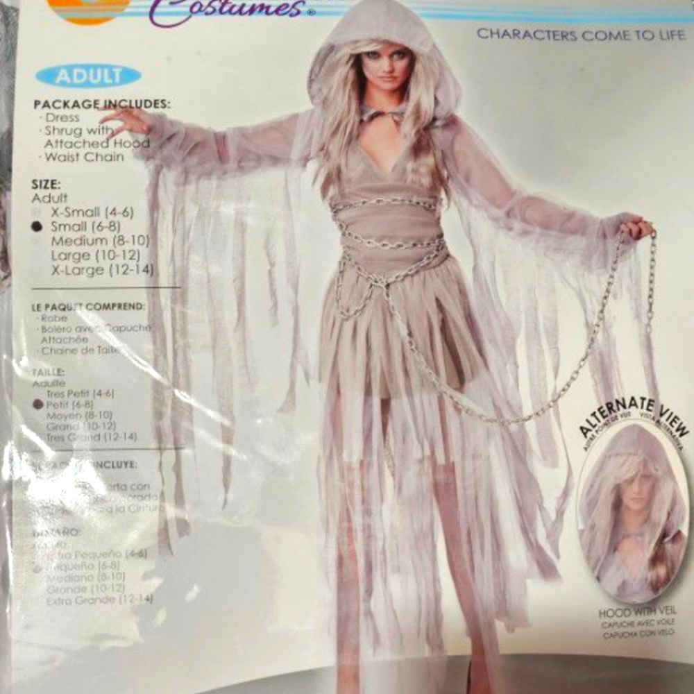 Haunting beauty costume
